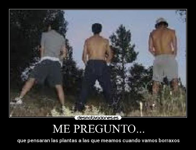 ME PREGUNTO... - que pensaran las plantas a las que meamos cuando vamos borraxos