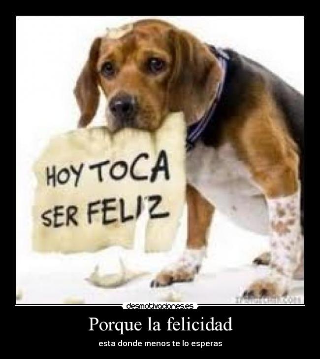 Porque la felicidad -