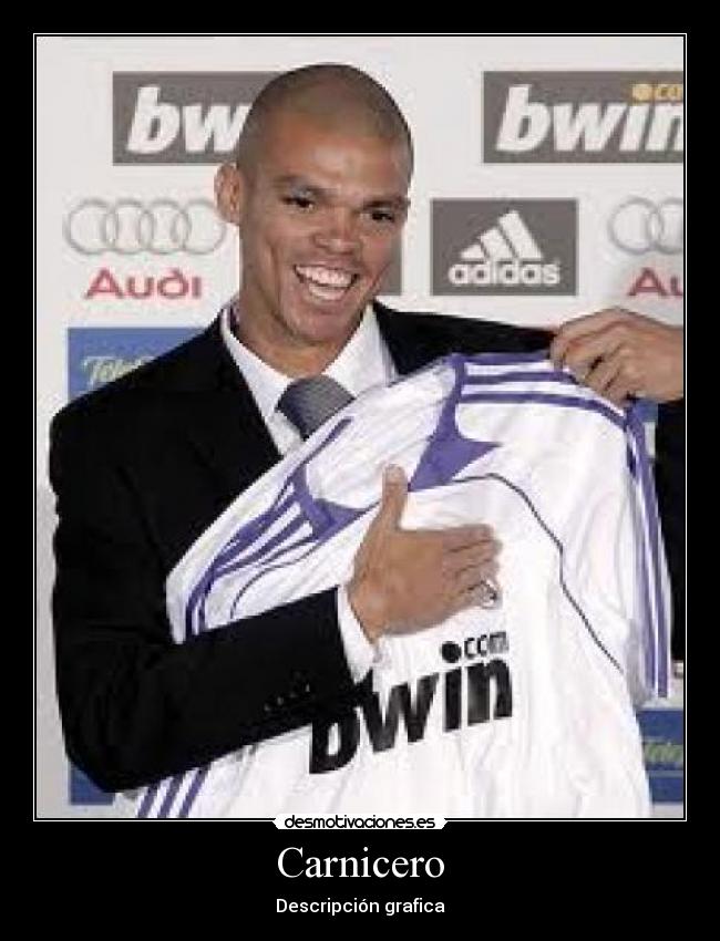 Carnicero - Descripción grafica