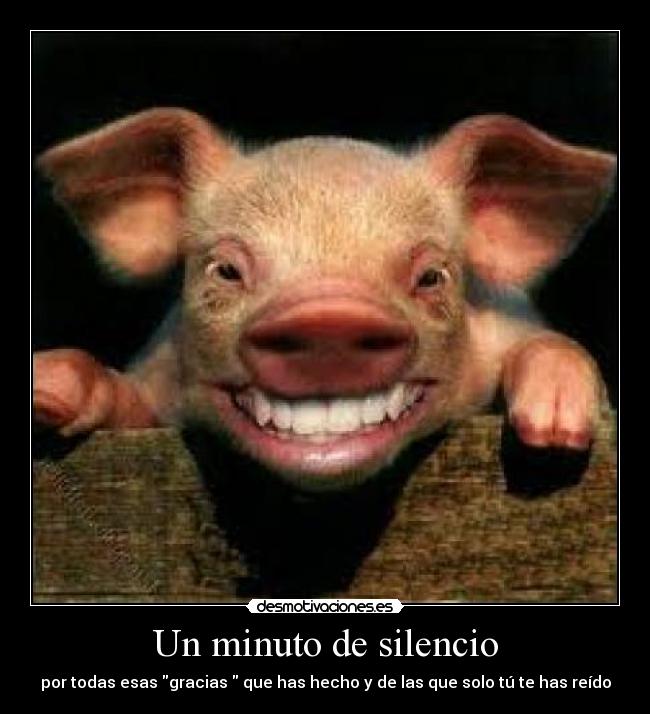 Un minuto de silencio -