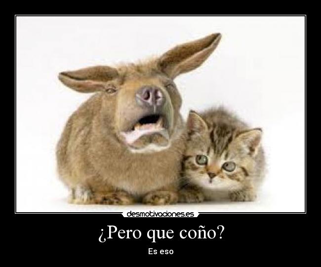 carteles raro desmotivaciones