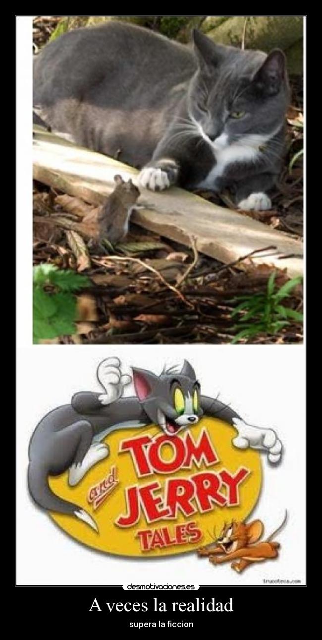A veces la realidad -