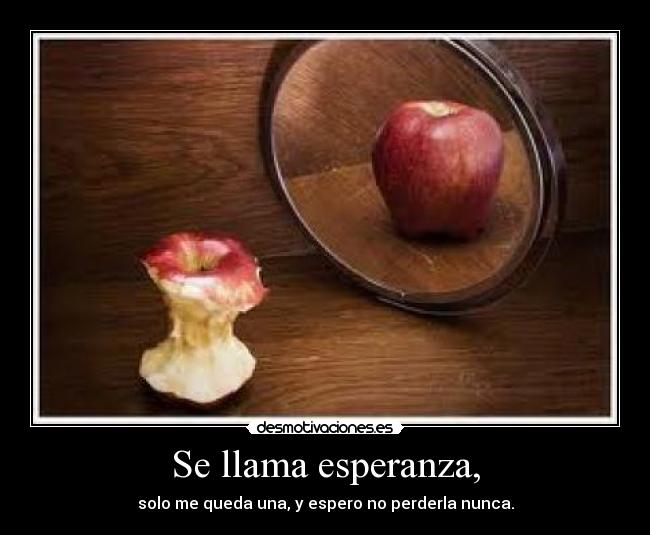 Se llama esperanza, - solo me queda una, y espero no perderla nunca.
