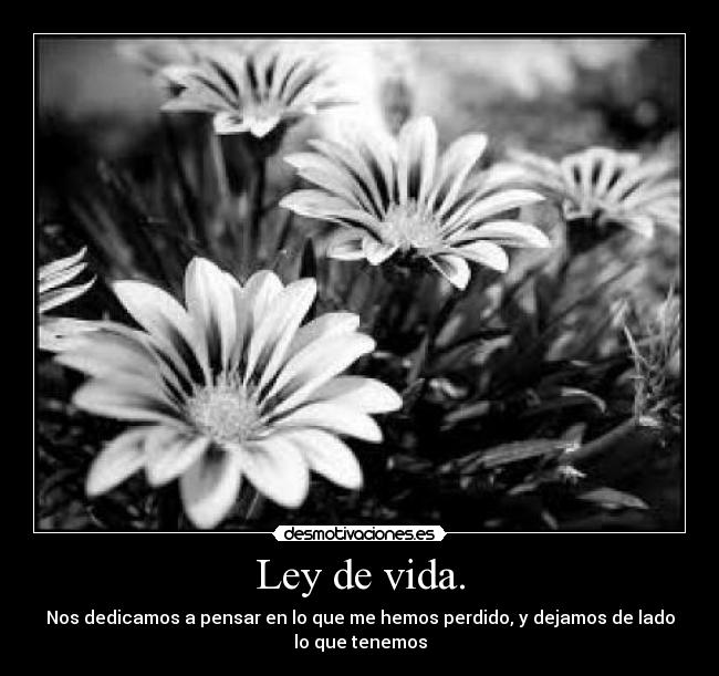 Ley de vida. - 