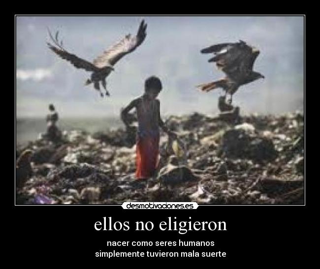 ellos no eligieron - nacer como seres humanos
simplemente tuvieron mala suerte