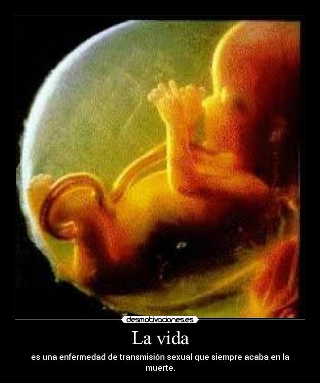 La vida - es una enfermedad de transmisión sexual que siempre acaba en la muerte.