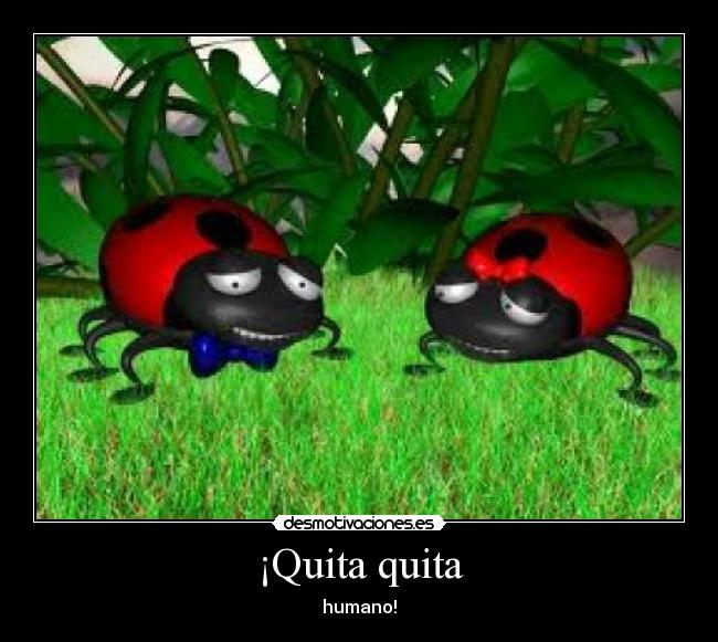 ¡Quita quita -