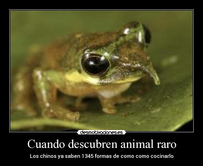 carteles cuando descubren animal raro desmotivaciones