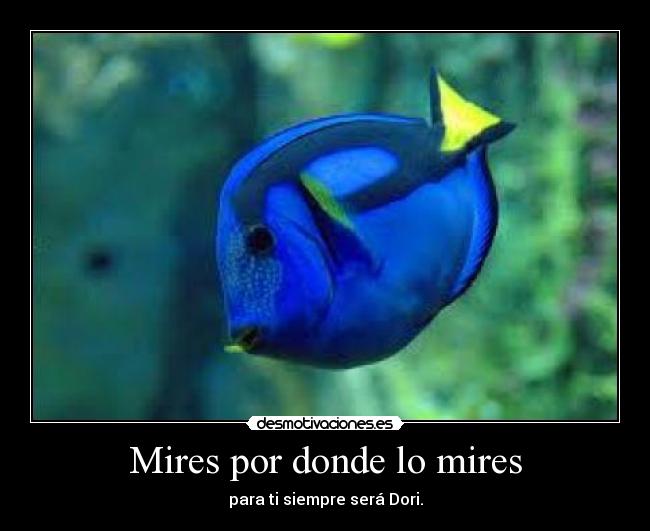 Mires por donde lo mires - 