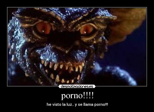 porno!!!! - he visto la luz.. y se llama porno!!!