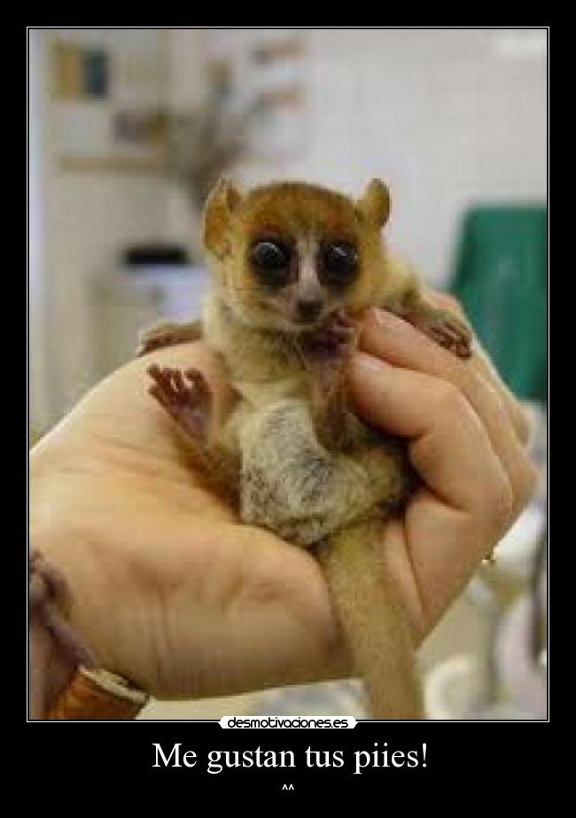 Me gustan tus piies! - ^^