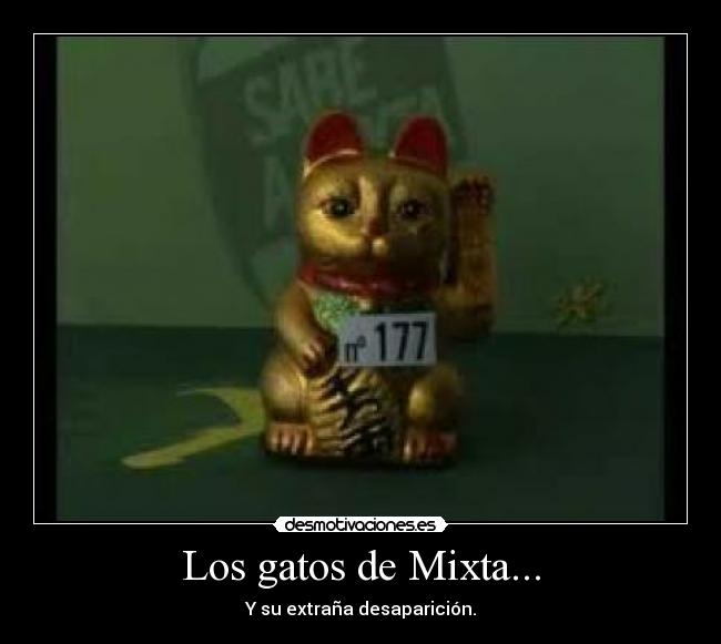 Los gatos de Mixta... - Y su extraña desaparición.