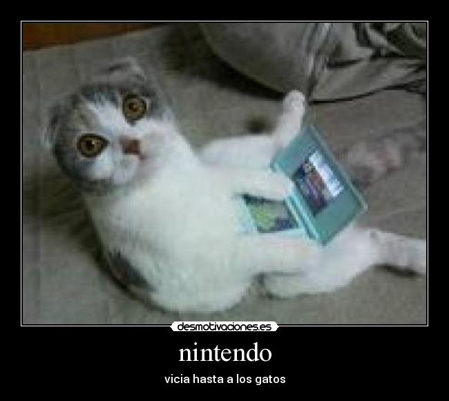 nintendo - 