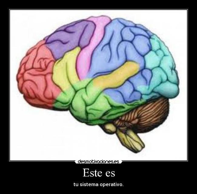 Este es - tu sistema operativo.