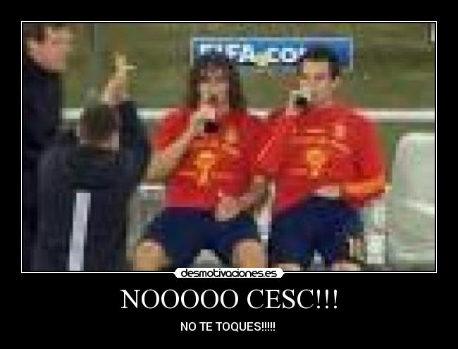 NOOOOO CESC!!! - 