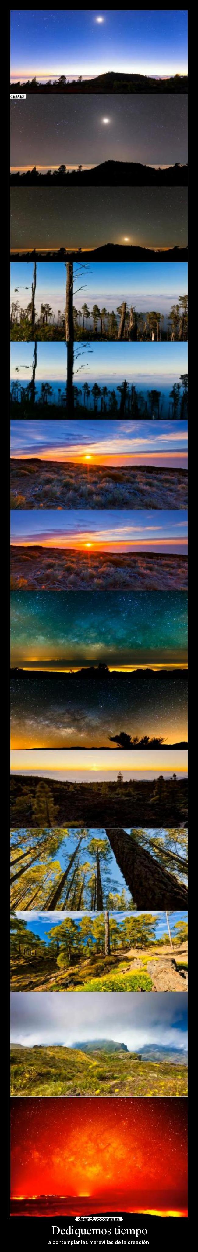 Dediquemos tiempo - a contemplar las maravillas de la creación 