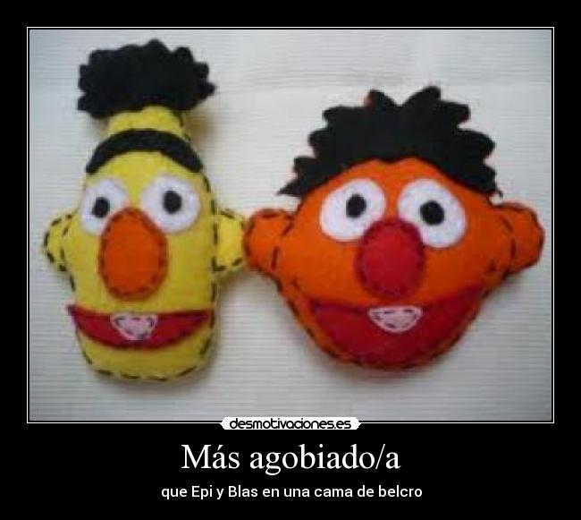 Más agobiado/a - que Epi y Blas en una cama de belcro
