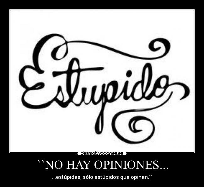 ``NO HAY OPINIONES... - 