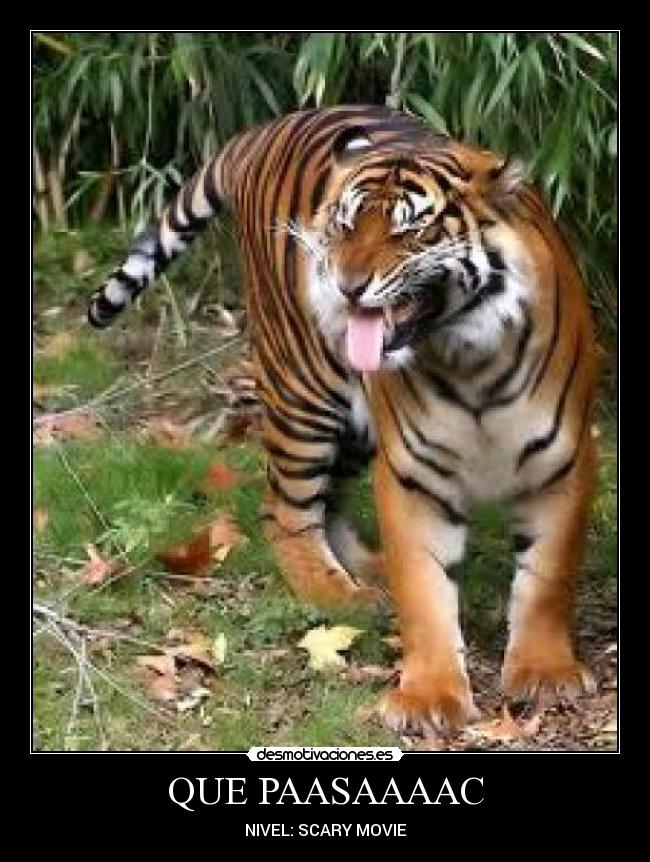 QUE PAASAAAAC - NIVEL: SCARY MOVIE