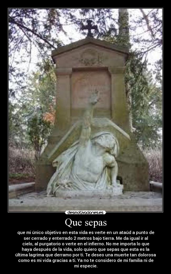 Que sepas - que mi único objetivo en esta vida es verte en un ataúd a punto de
ser cerrado y enterrado 2 metros bajo tierra. Me da igual ir al
cielo, al purgatorio o verte en el infierno. No me importa lo que
haya después de la vida, solo quiero que sepas que esta es la
última lagrima que derramo por ti. Te deseo una muerte tan dolorosa
como es mi vida gracias a ti. Ya no te considero de mi familia ni de
mi especie.