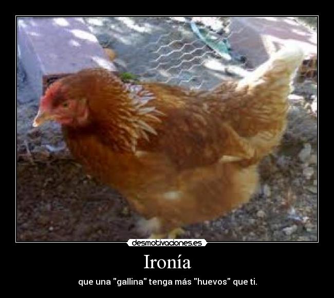Ironía - que una gallina tenga más huevos que ti.