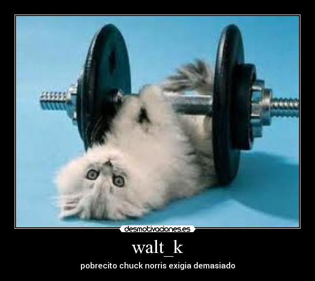 walt_k - 
