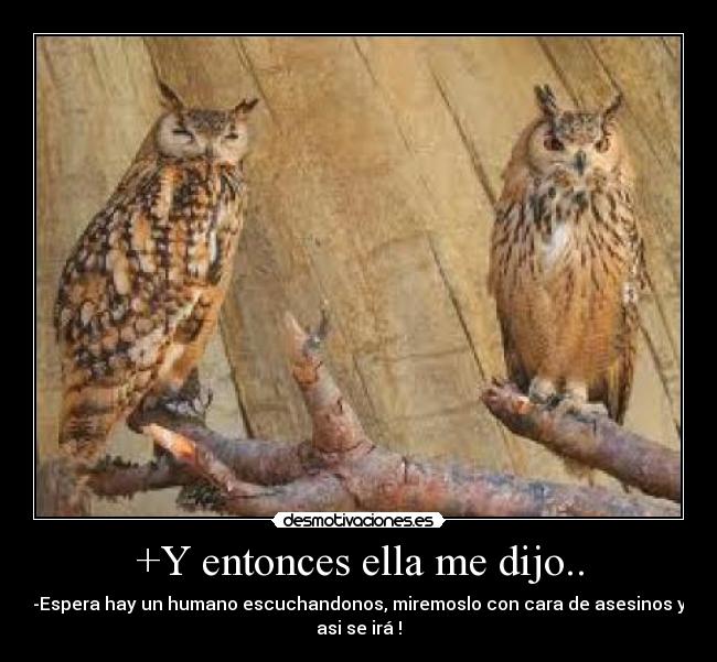 +Y entonces ella me dijo.. - -Espera hay un humano escuchandonos, miremoslo con cara de asesinos y
asi se irá !