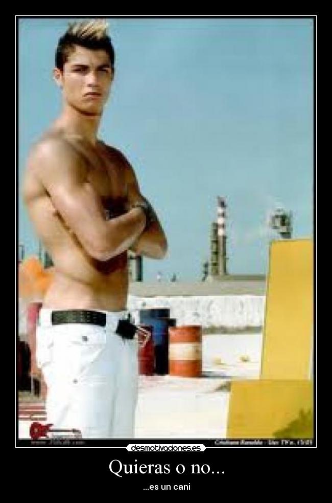 Quieras o no... - 