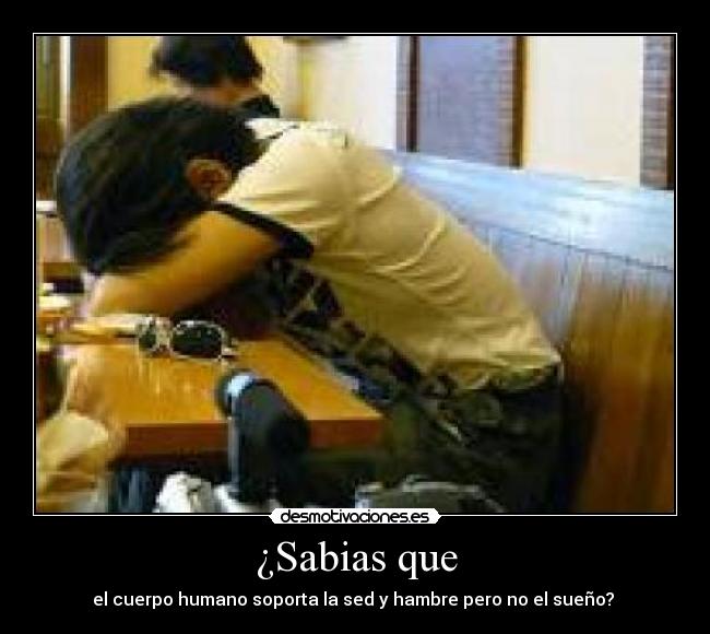 ¿Sabias que - el cuerpo humano soporta la sed y hambre pero no el sueño?