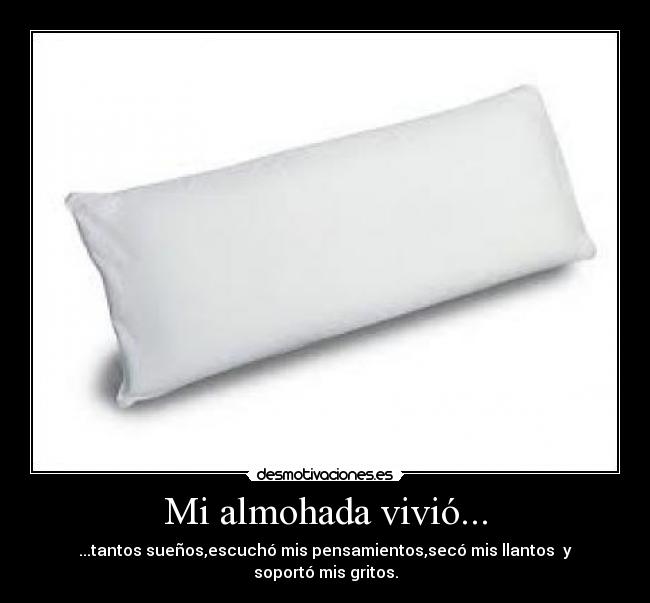 Mi almohada vivió... - ...tantos sueños,escuchó mis pensamientos,secó mis llantos  y soportó mis gritos.