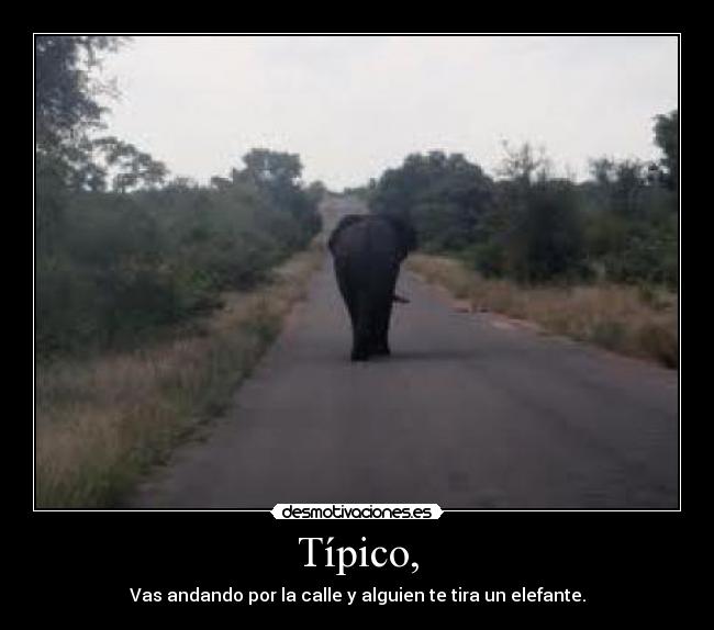 Típico, -