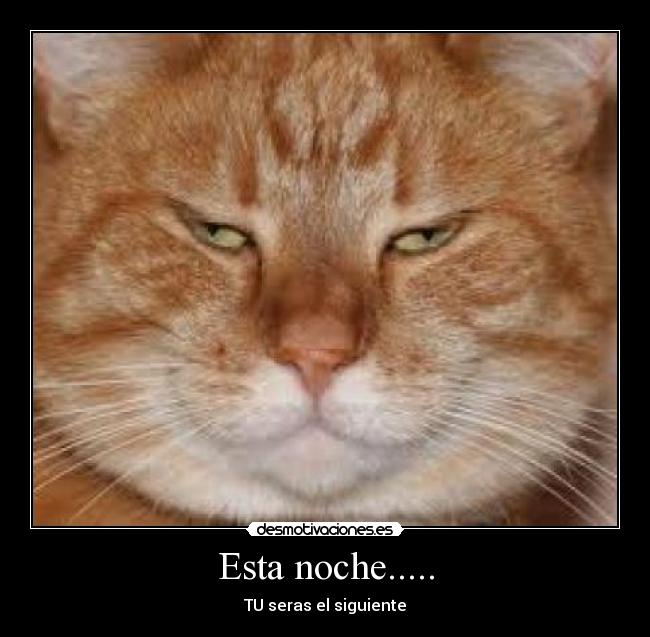 Esta noche..... -
