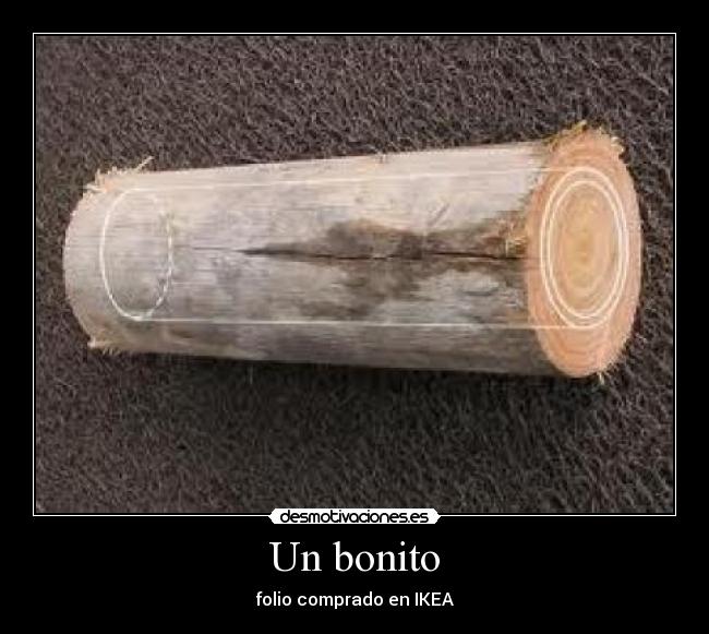 Un bonito -