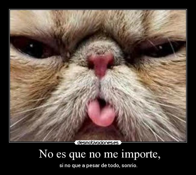 No es que no me importe, - si no que a pesar de todo, sonrio.