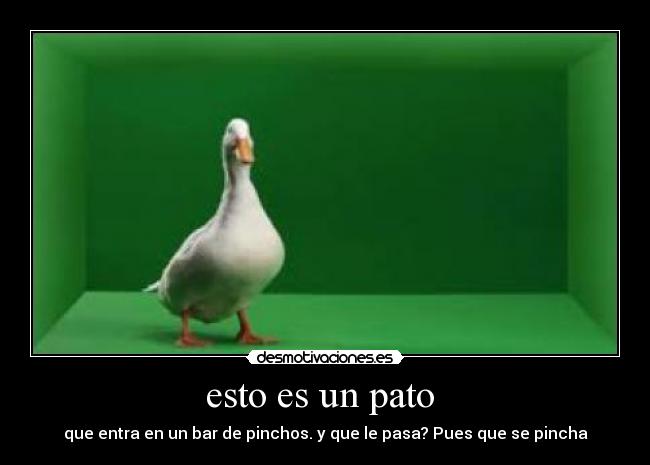 esto es un pato -