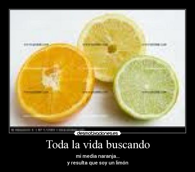 Toda la vida buscando - 