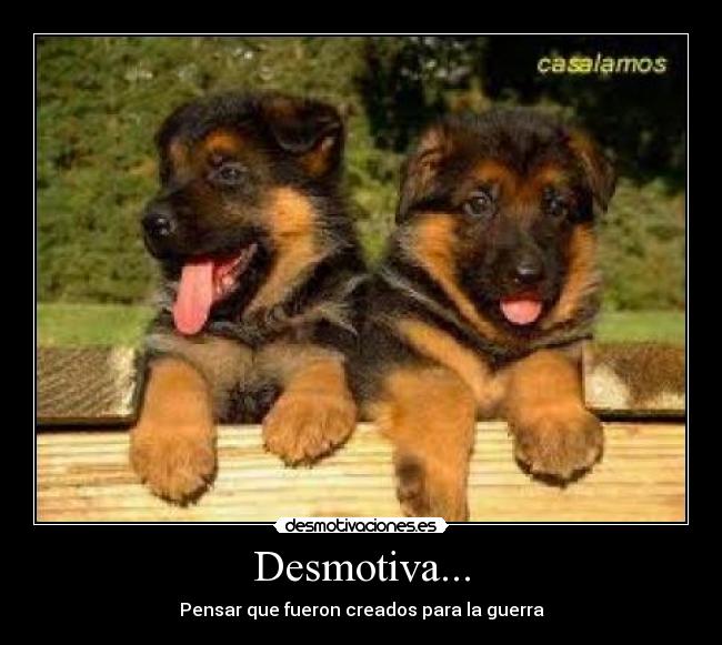 Desmotiva... - Pensar que fueron creados para la guerra