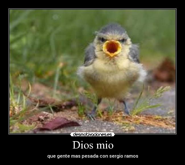 Dios mio -