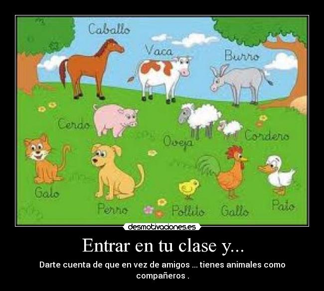 Entrar en tu clase y... - Darte cuenta de que en vez de amigos ... tienes animales como compañeros .