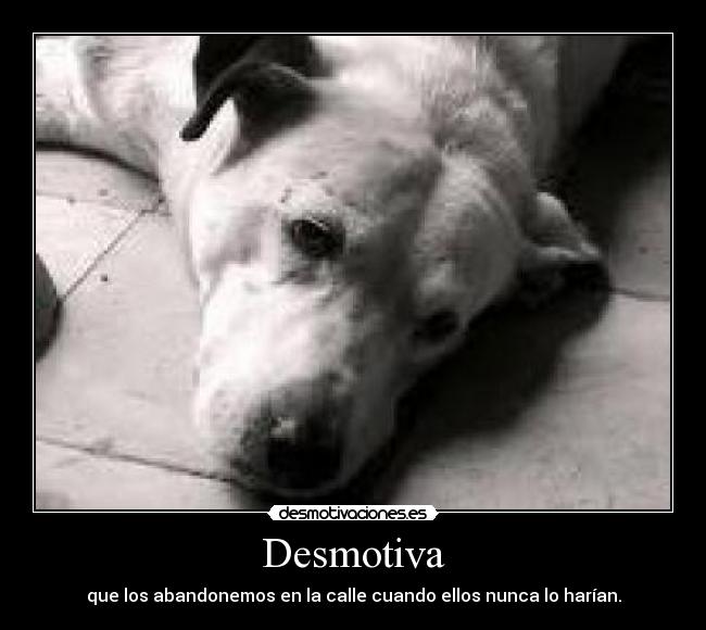 Desmotiva - 