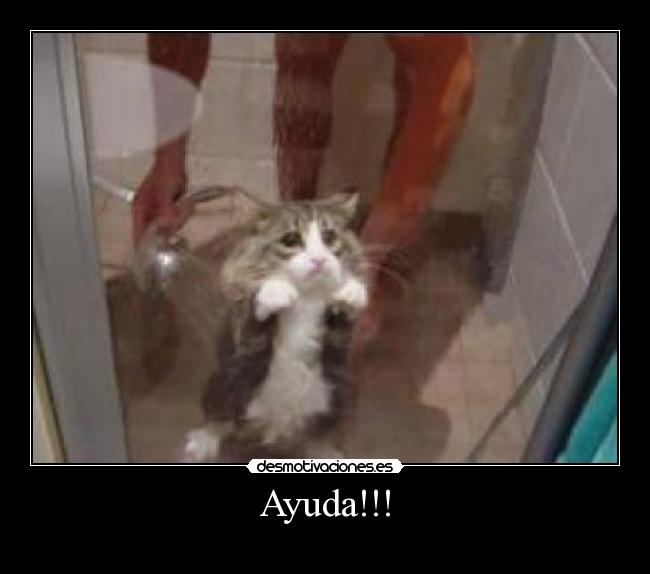 Ayuda!!! -