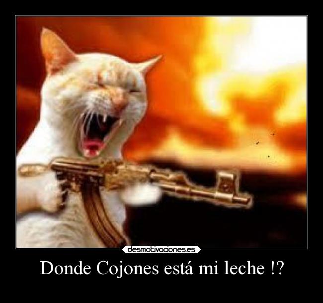 Donde Cojones está mi leche !? -