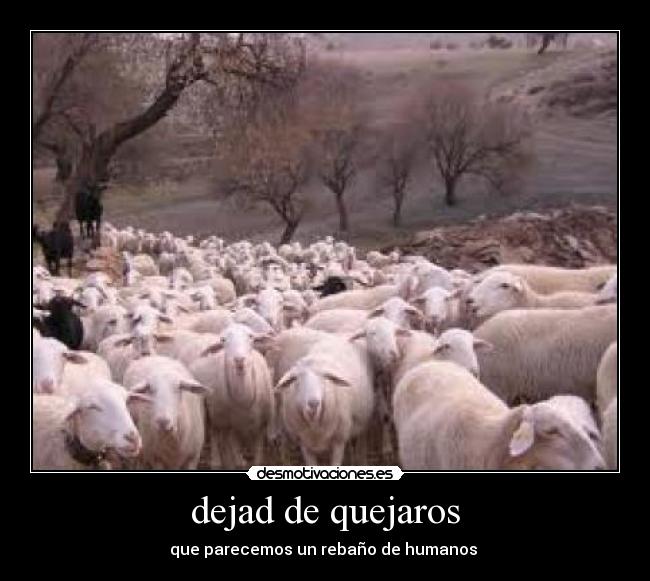 dejad de quejaros - 