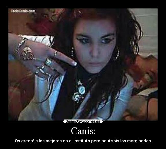 Canis: - 