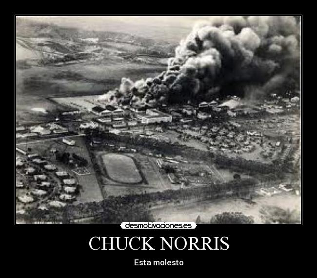 CHUCK NORRIS - 