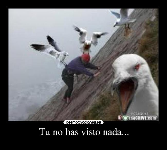 Tu no has visto nada... - 