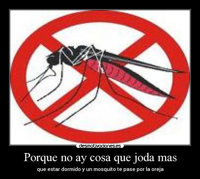 Porque no ay cosa que joda mas - que estar dormido y un mosquito te pase por la oreja