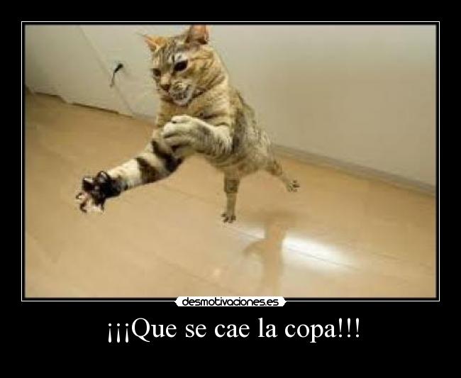 ¡¡¡Que se cae la copa!!! -