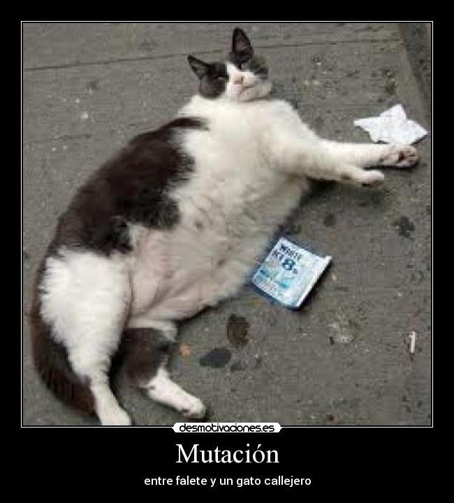 Mutación -