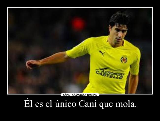 Él es el único Cani que mola. -